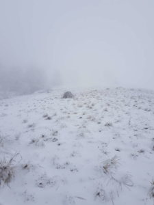 Salita tra la nebbia Salita tra la nebbia