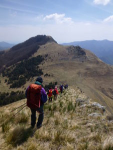 Panorama verso il monte Arborea a destra e il Carmo di Brocchi a sinistra Panorama verso il monte Arborea a destra e il Carmo di Brocchi a sinistra