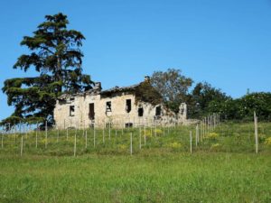 Antica cascina Antica cascina